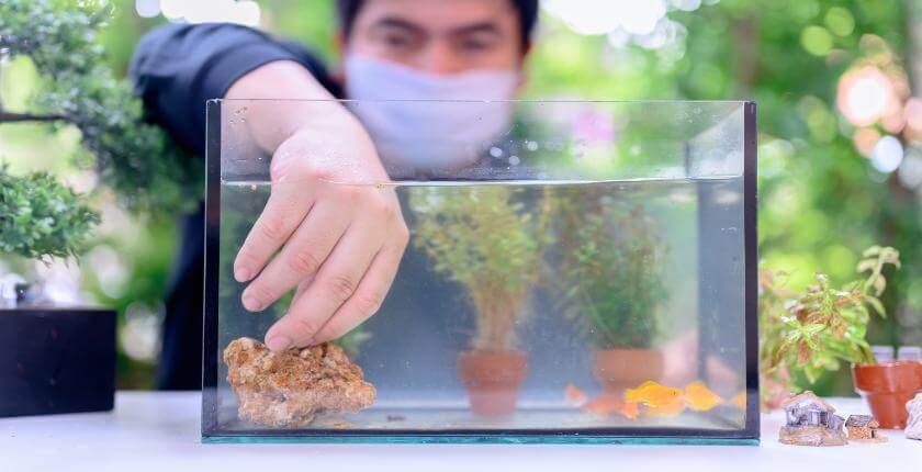 Aquarium Design in Worcestershire